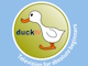 Duck TV live